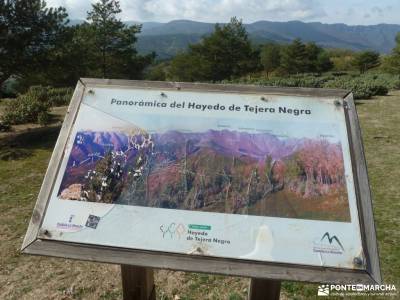 Hayedo Tejera Negra; parque natural de la sierra calderona outlet ropa de montaña pueblos abandonad